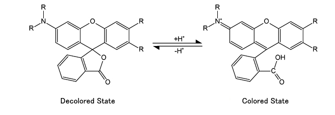 ThermoRewrite chemical formula