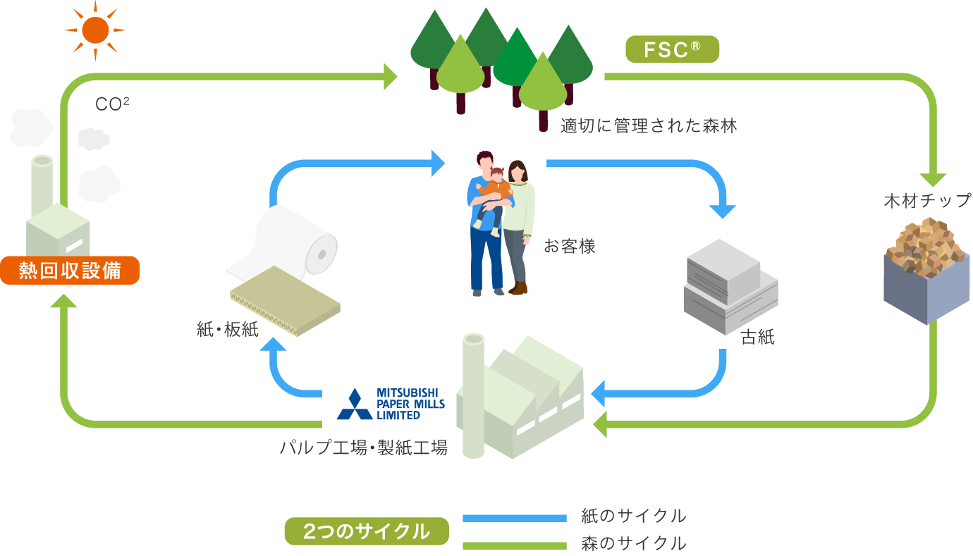 紙をめぐる2つのサイクル